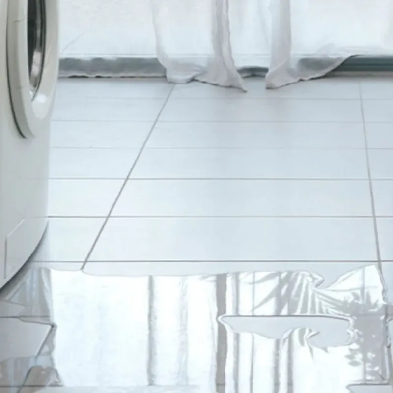 Appliance Leak Cleanup in White Bluff, TN