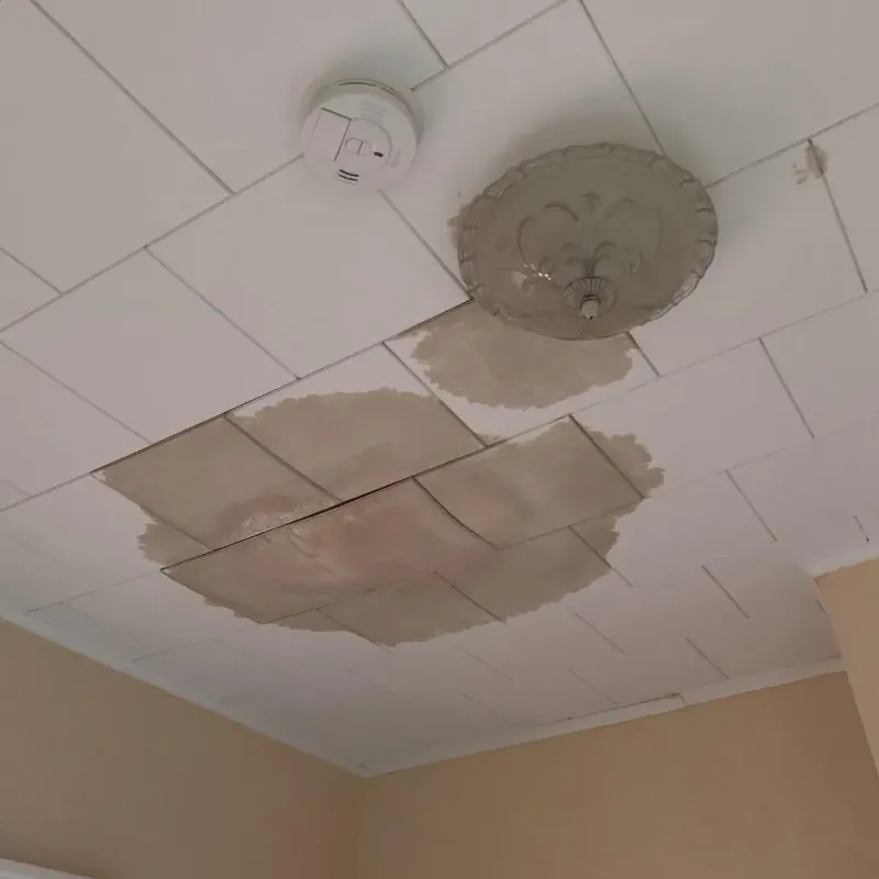 Ceiling Water Damage Repair in White Bluff, TN