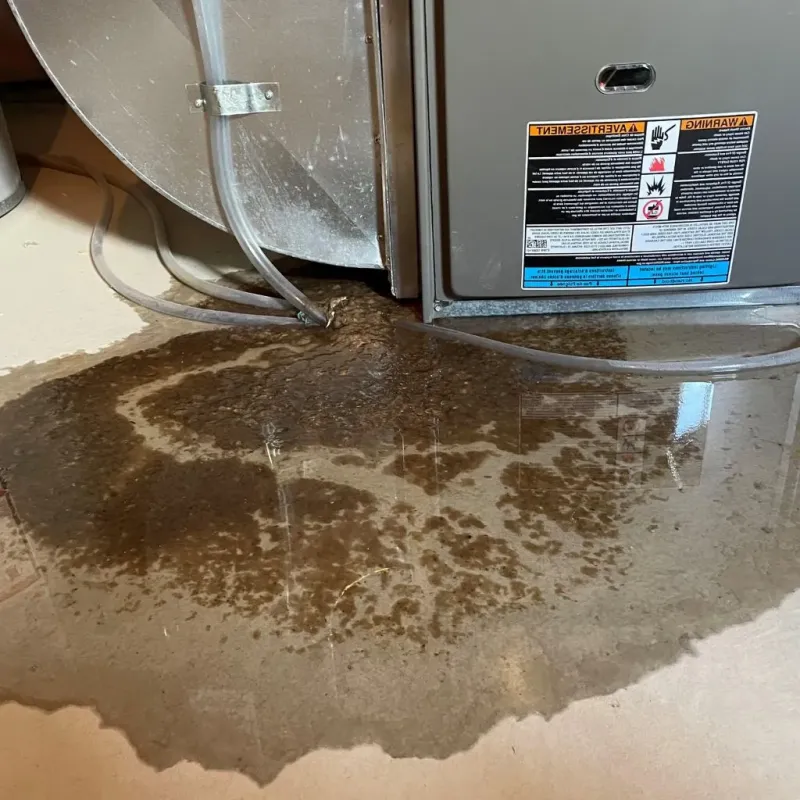 Pipe Burst and Leak Restoration in White Bluff, TN