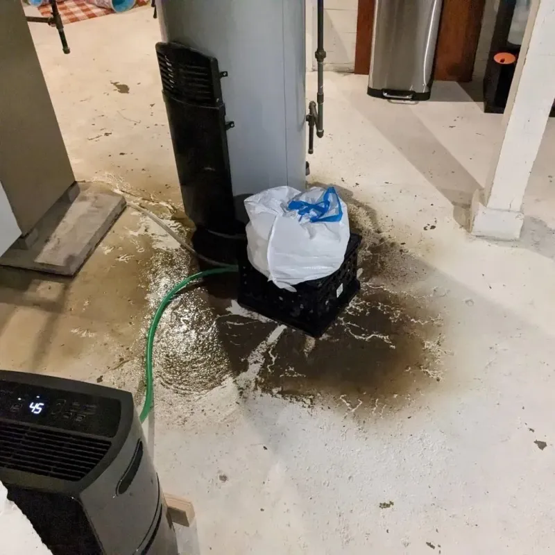Sewage Backup Cleanup Service in White Bluff, TN